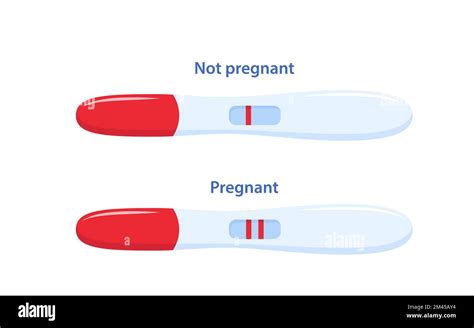 negative pregnancy test but hard stomach|negative pregnancy test but not positive.